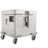 Contenitore isotermico per bassissime temperature DRICY 30