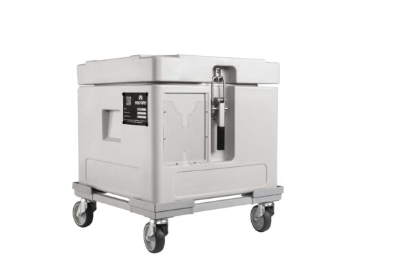 Contenitore isotermico per bassissime temperature DRICY 30